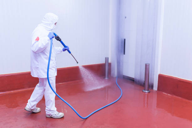Boat and Dock Cleaning in Decatur, TX