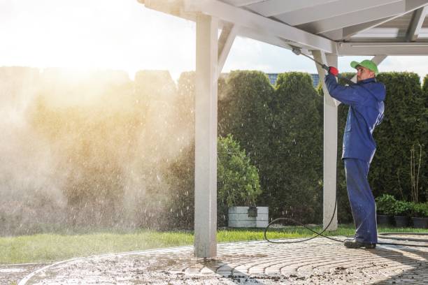 Best Animal Enclosure Cleaning  in Decatur, TX